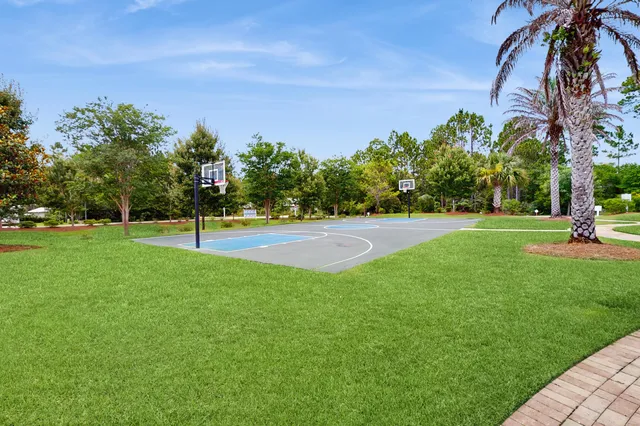 a view of a tree in a park