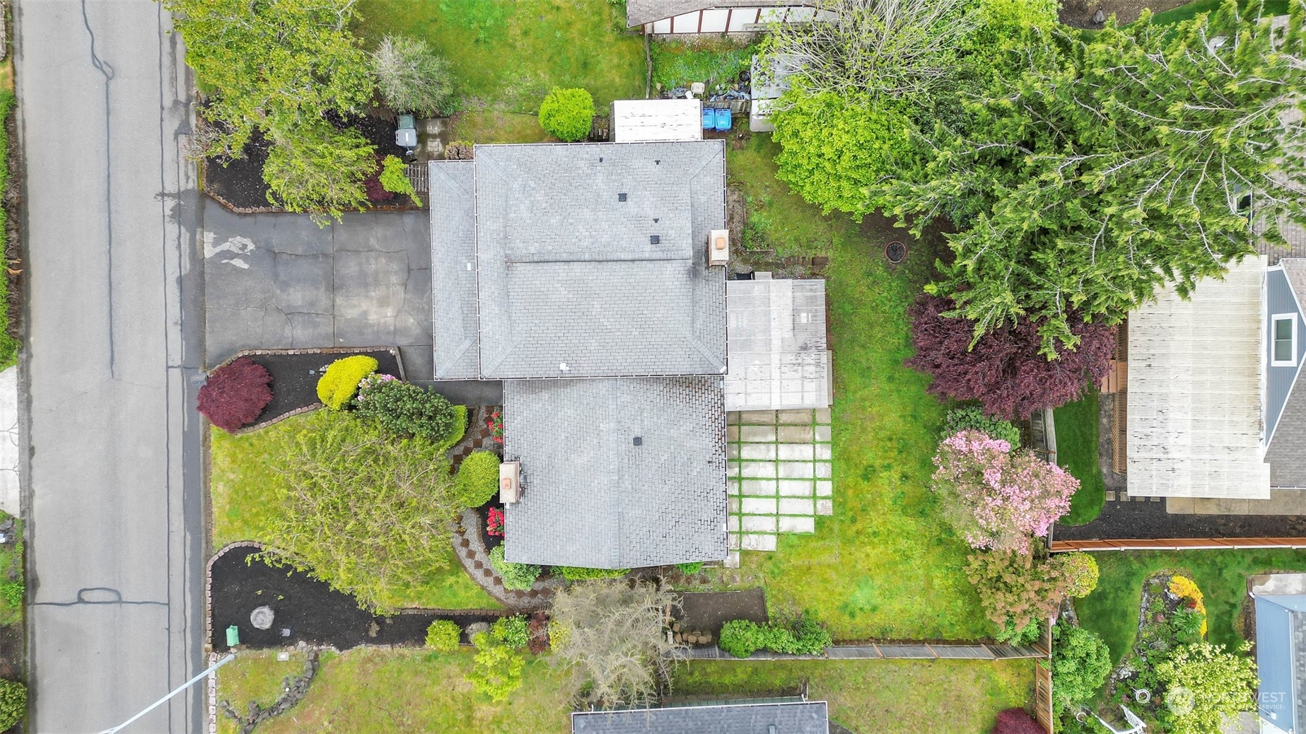 66 Bonney Street Steilacoom, WA 98388 - Photo 39 of 40 aerial view of a house with large trees and plants
