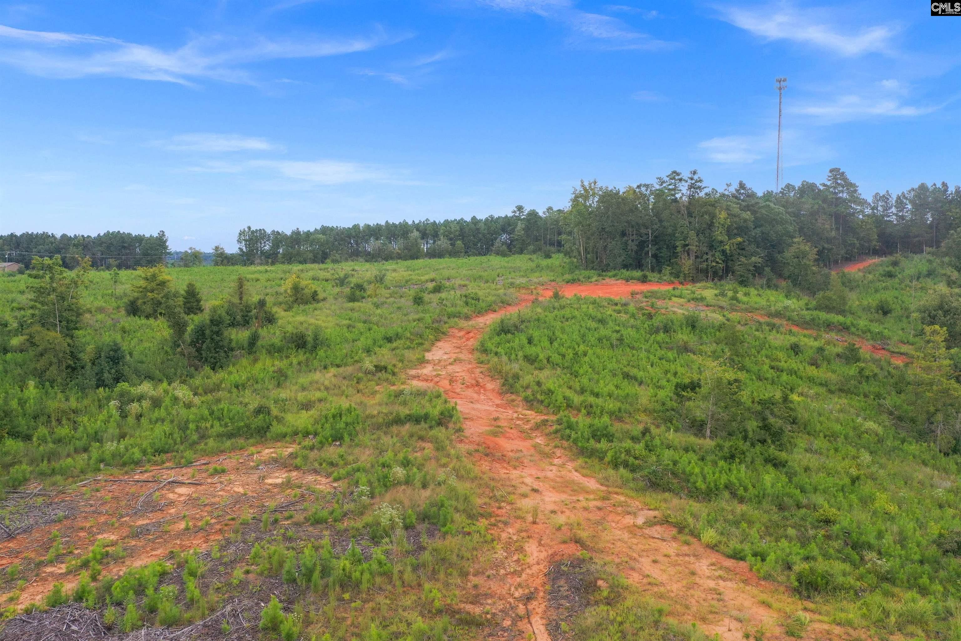 0 Penner Road, Unit 7 Jenkinsville, SC 29065 - Photo 15 of 36