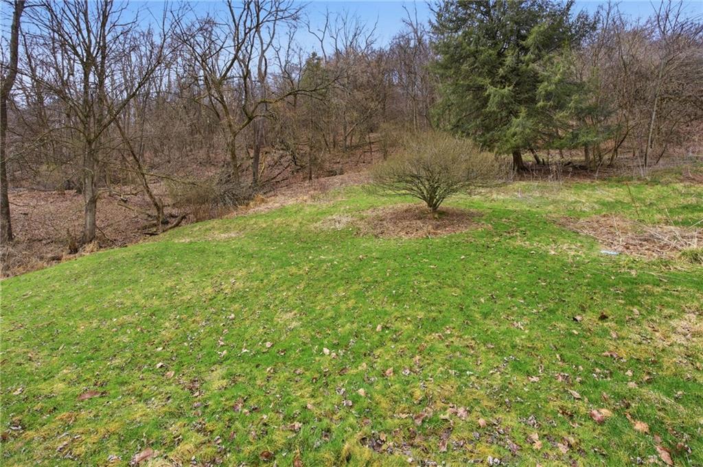 105 Pine Street Trafford, PA 15085 - Photo 22 of 22 a view of a garden with a tree