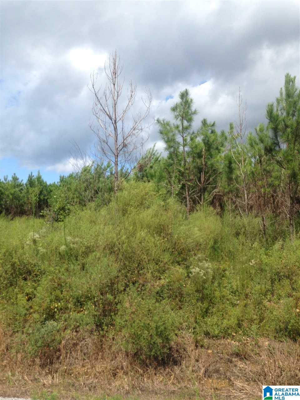 1033 Crossover Road, Unit 18 ACRES Cropwell, AL 35054 - Photo 7 of 10