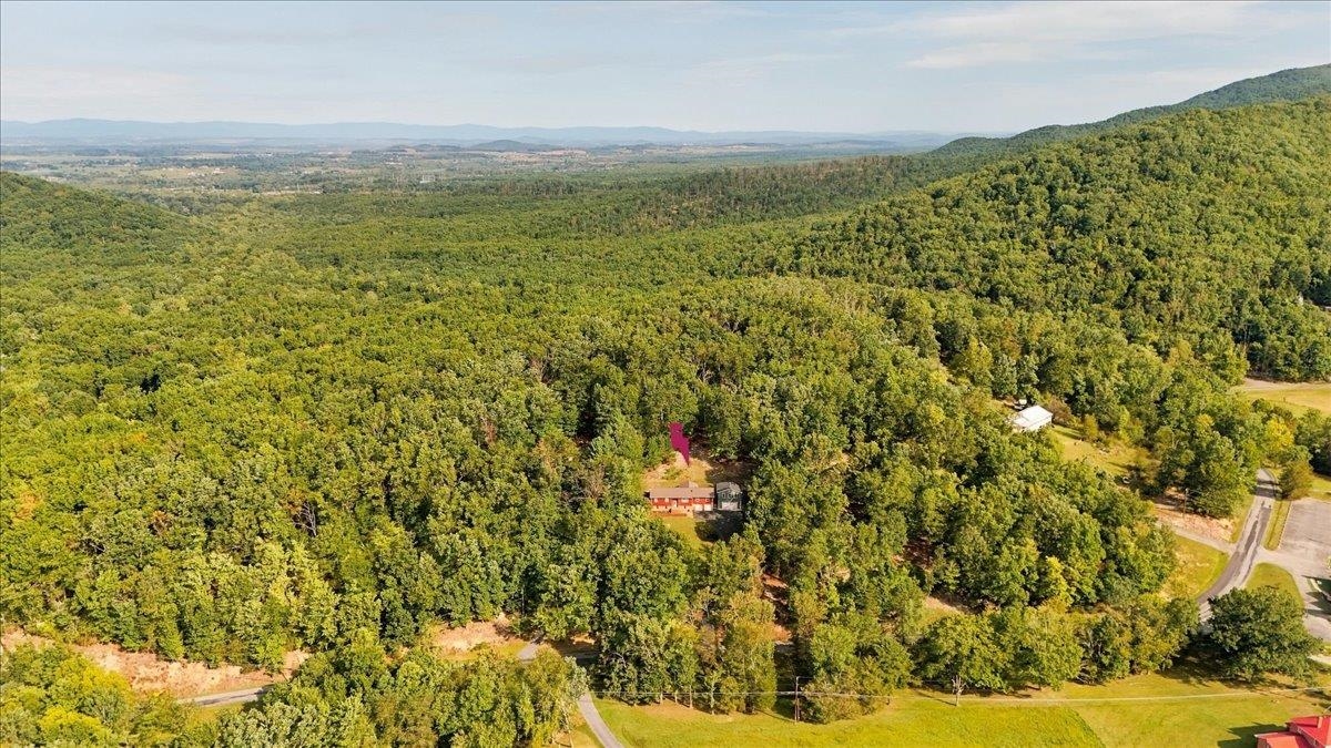 722 Calf Mountain Road Waynesboro, VA 22980 - Photo 62 of 65 Gallery Image 62