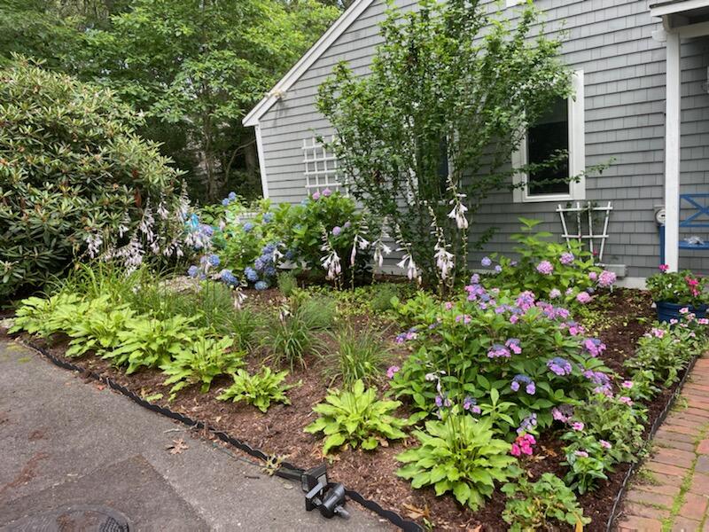 157 Greensward Road Mashpee, MA 02649 - Photo 68 of 75 IMG_9777