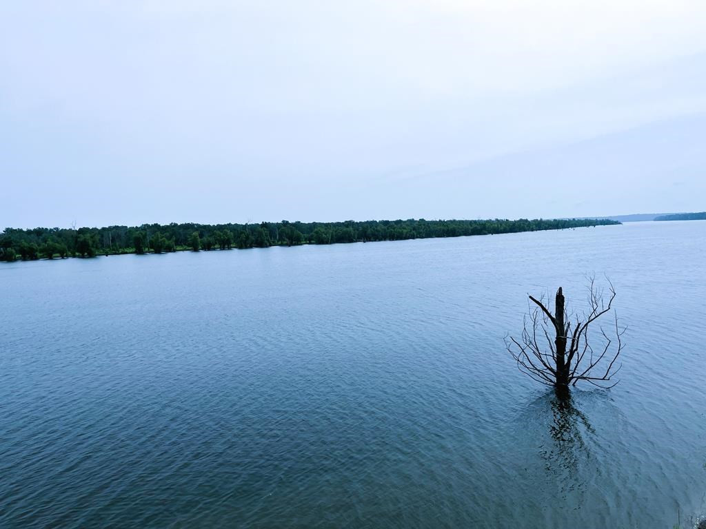 545 Minorca Road Vidalia, LA 71373 - Photo 26 of 31 Photo 26