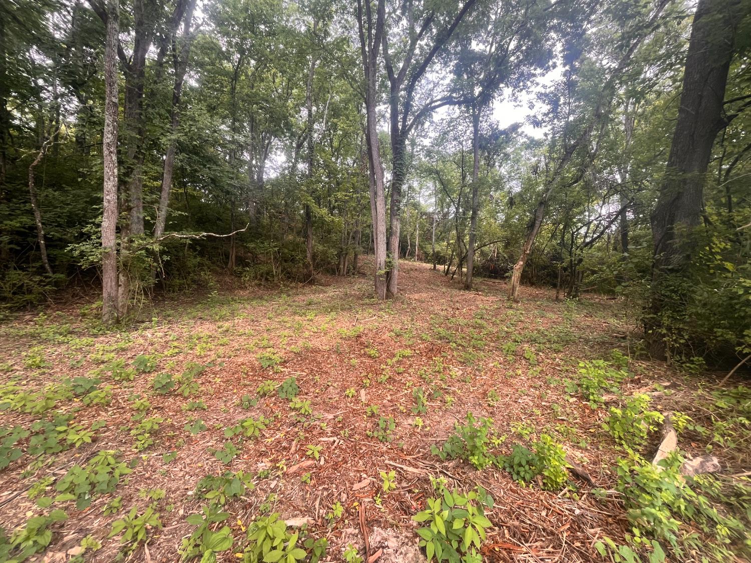 3314 Johnson Fork Road West Harrison, IN 47060 - Photo 8 of 18