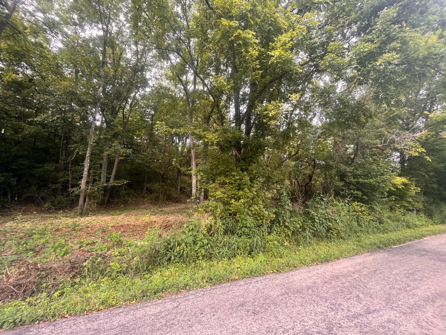 3314 Johnson Fork Road West Harrison, IN 47060 - Photo 9 of 18