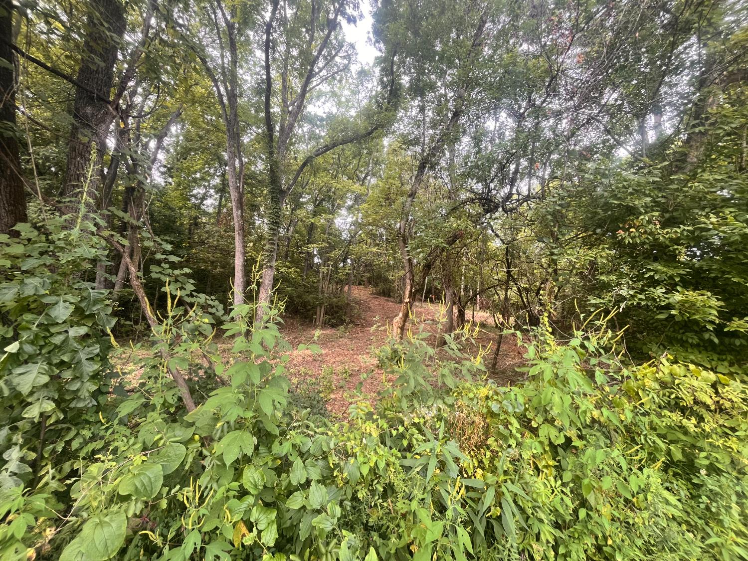 3314 Johnson Fork Road West Harrison, IN 47060 - Photo 10 of 18