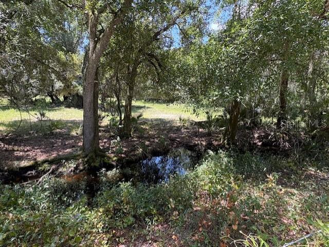 10613 Southeast Foster Avenue Arcadia, FL 34266 - Photo 2 of 2 a view of a forest with trees