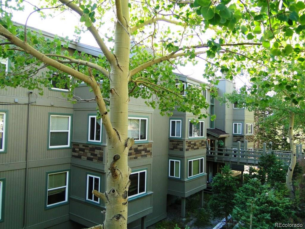 9366 Fall River Road, Unit 405 Idaho Springs, CO 80452 - Photo 1 of 18 Gallery Image 1