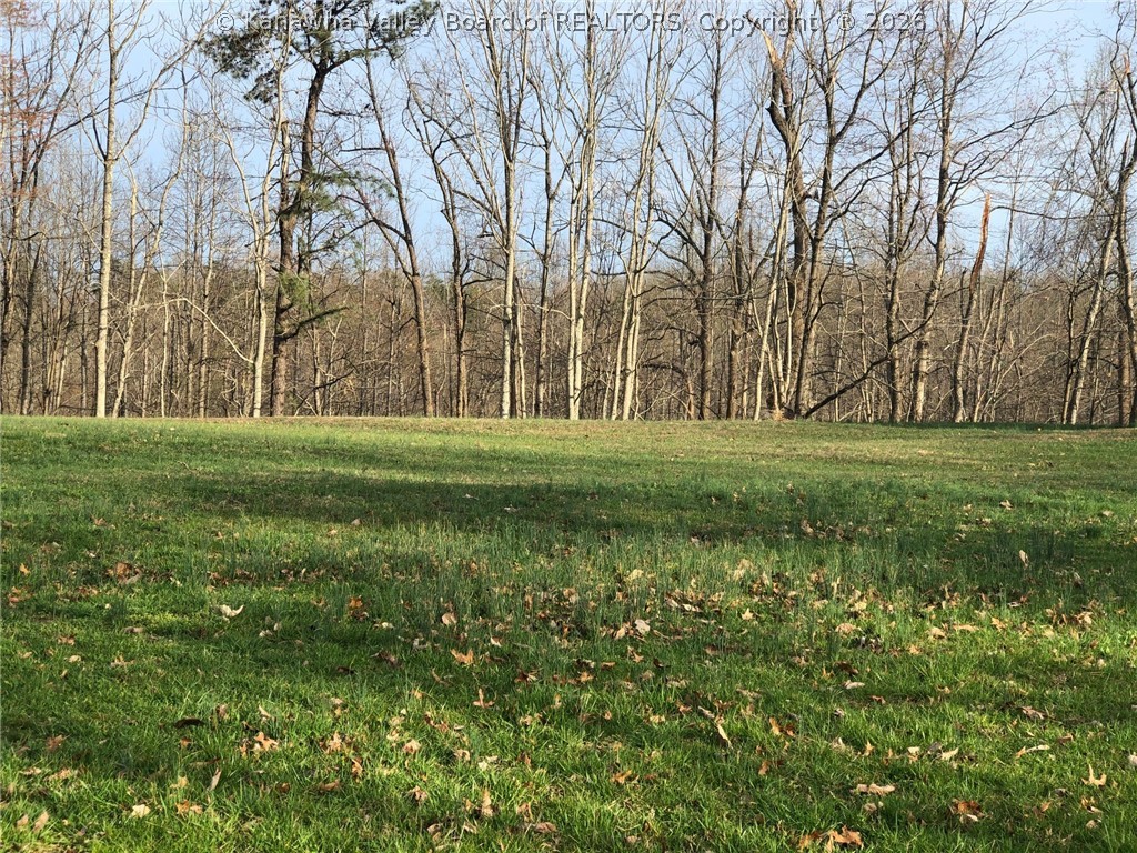 901 7 Mile Road Fraziers Bottom, WV 25082 - Photo 22 of 24 Gallery Image 22
