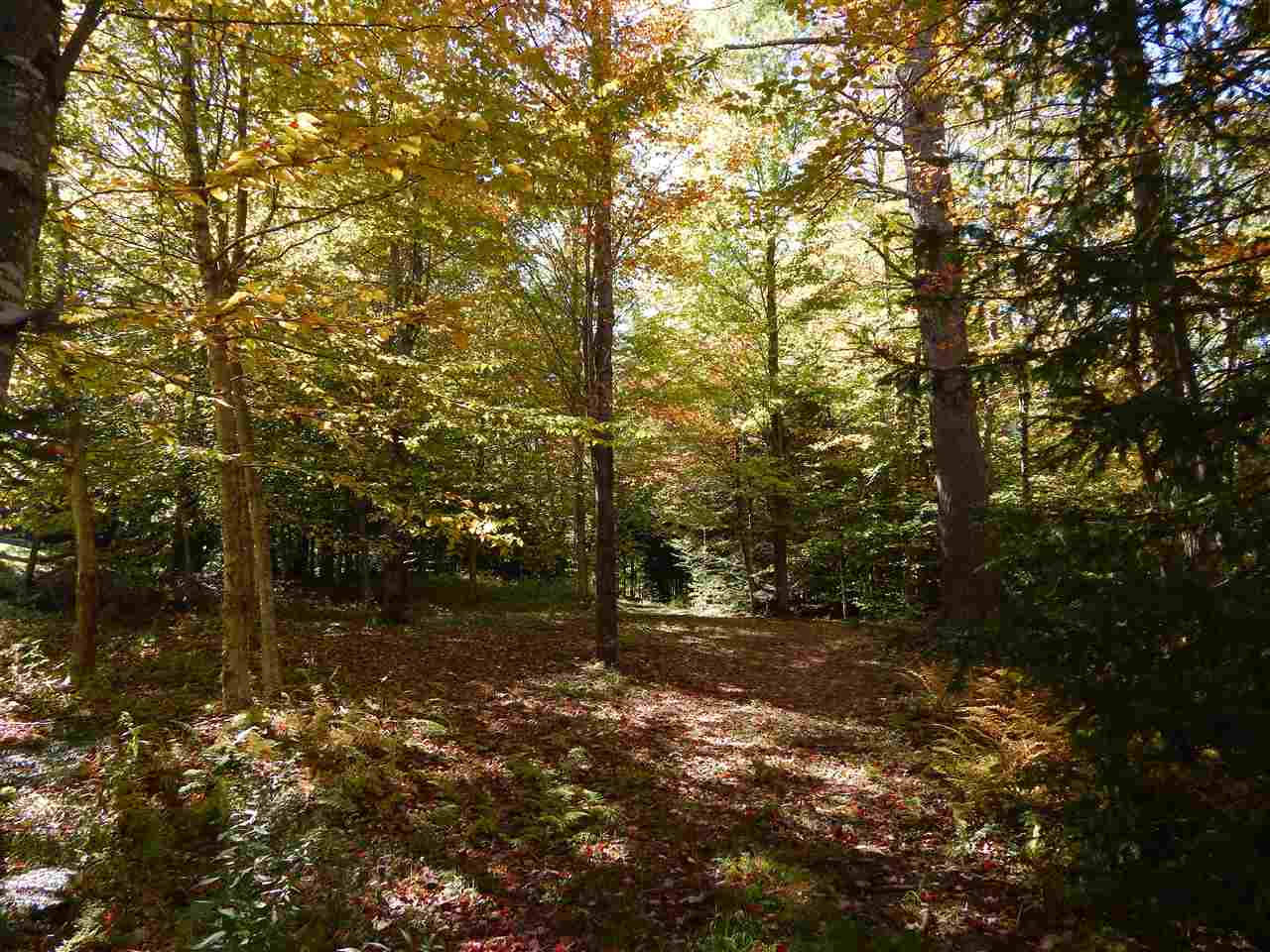 Lot 12 Chalk Pond Road Newbury, NH 03255 - Photo 1 of 4