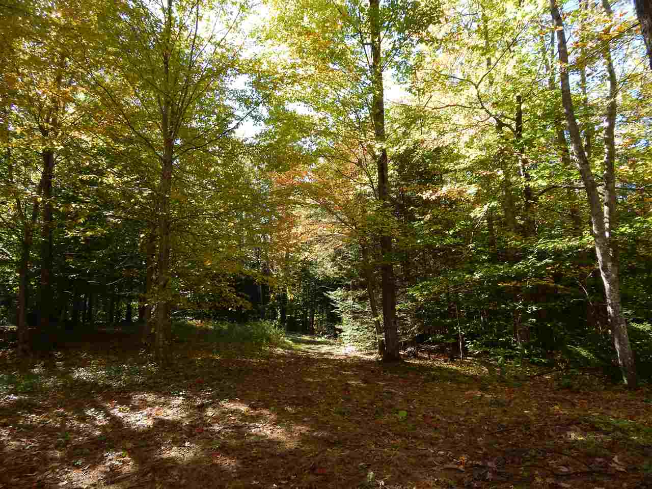 Lot 12 Chalk Pond Road Newbury, NH 03255 - Photo 2 of 4