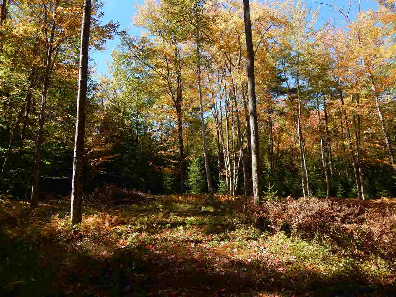 Lot 12 Chalk Pond Road Newbury, NH 03255 - Photo 3 of 4