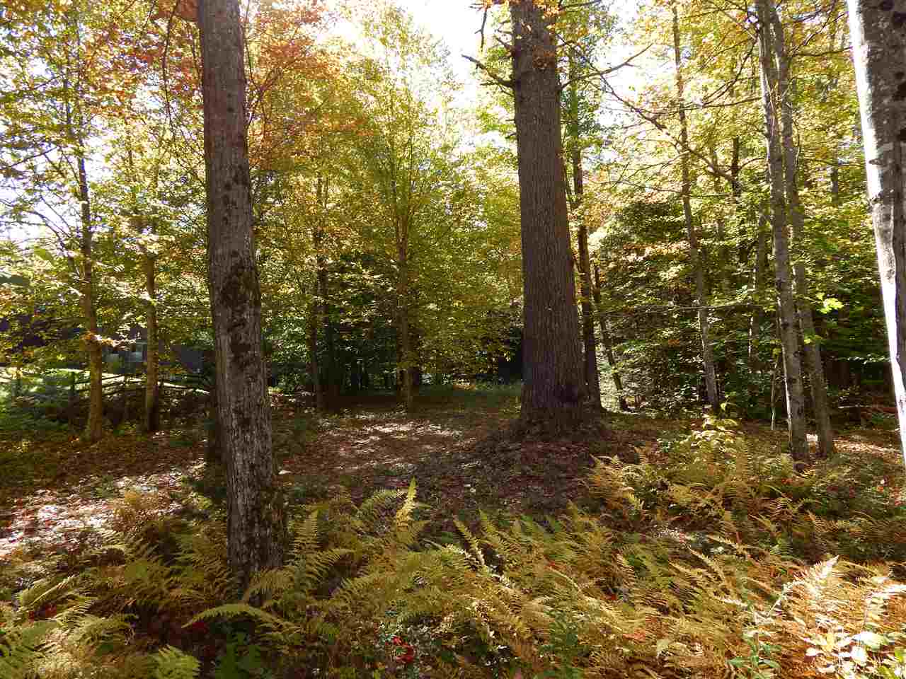 Lot 12 Chalk Pond Road Newbury, NH 03255 - Photo 4 of 4