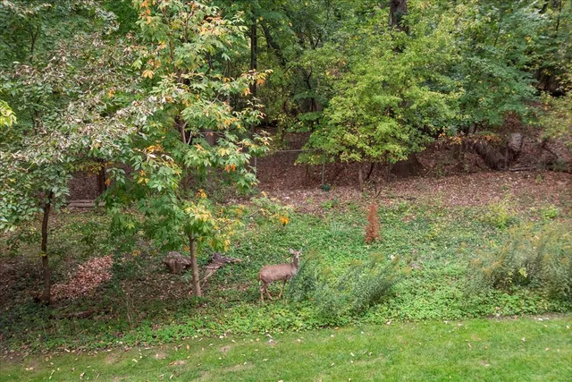 a backyard of a house with lots of green space and garden