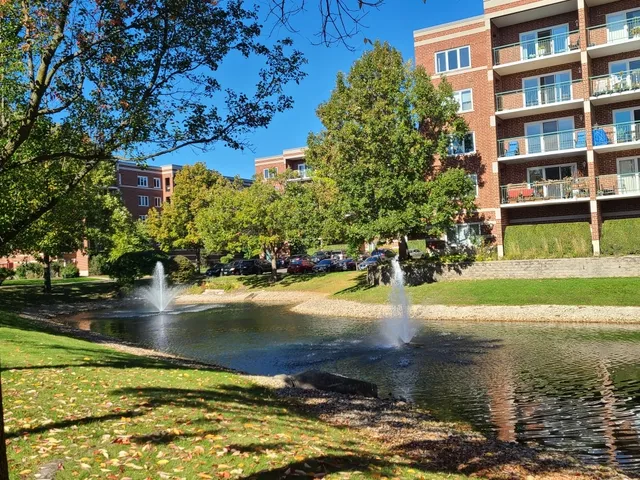 a view of a lake with a building in the background