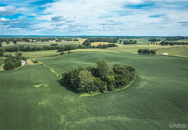 $740,000 | 1619 Krause Road, Golden Eagle, IL 62036