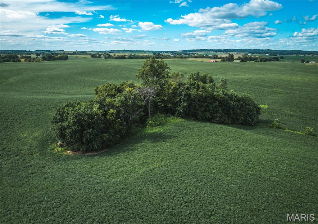 1619 Krause Road Golden Eagle, IL 62036 - Photo 12 of 29