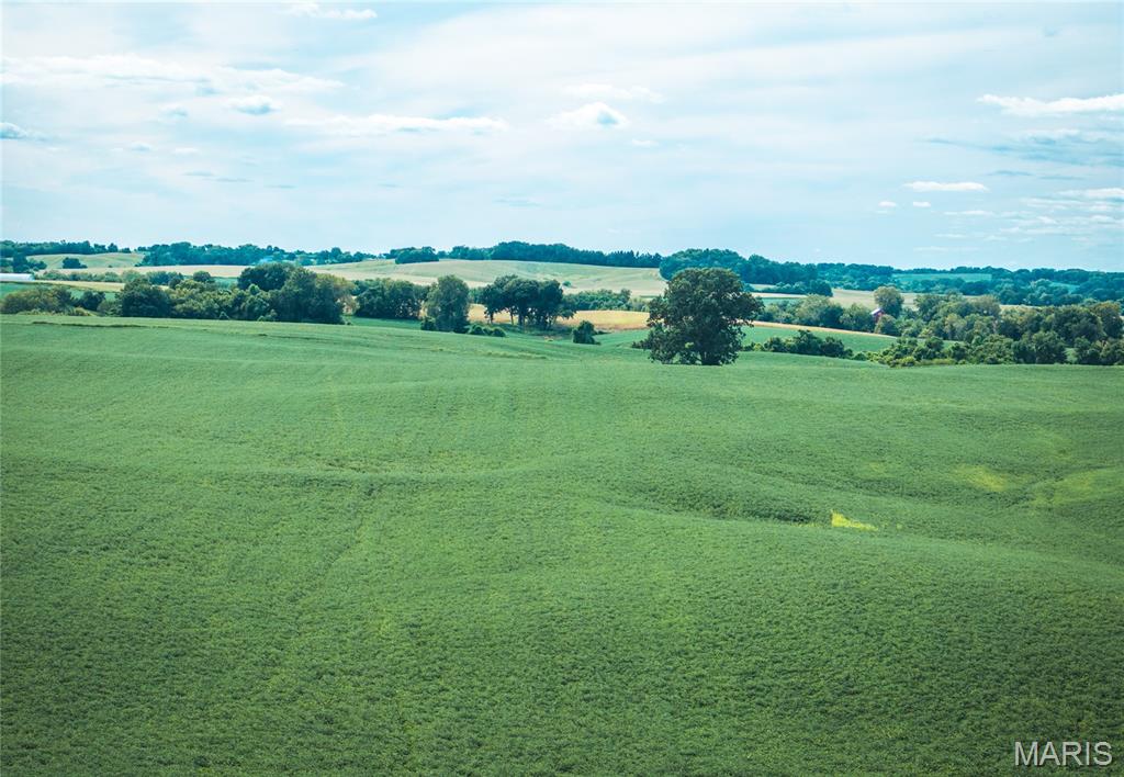 1619 Krause Road Golden Eagle, IL 62036 - Photo 13 of 29