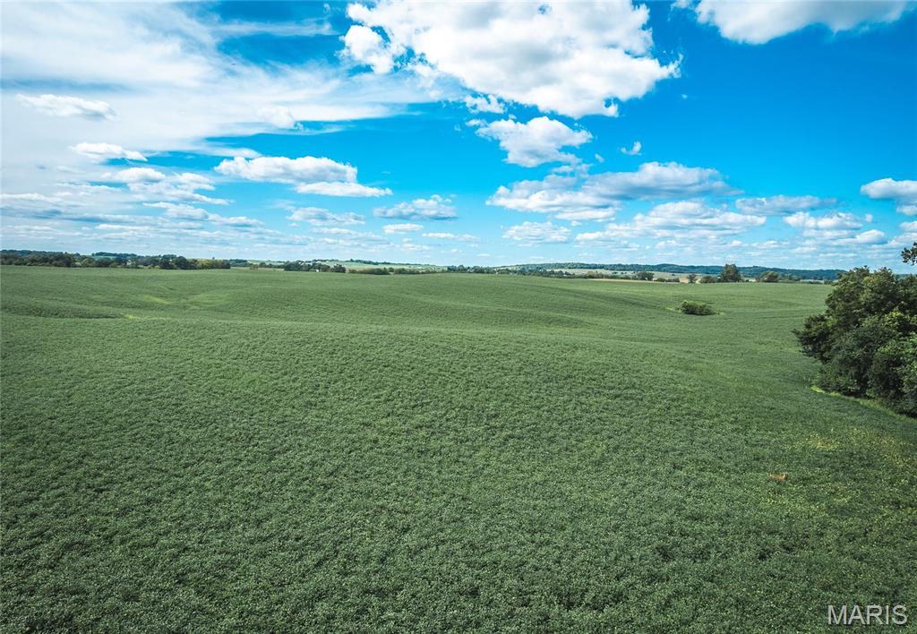 1619 Krause Road Golden Eagle, IL 62036 - Photo 14 of 29