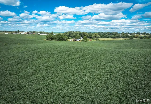 $740,000 | 1619 Krause Road, Golden Eagle, IL 62036