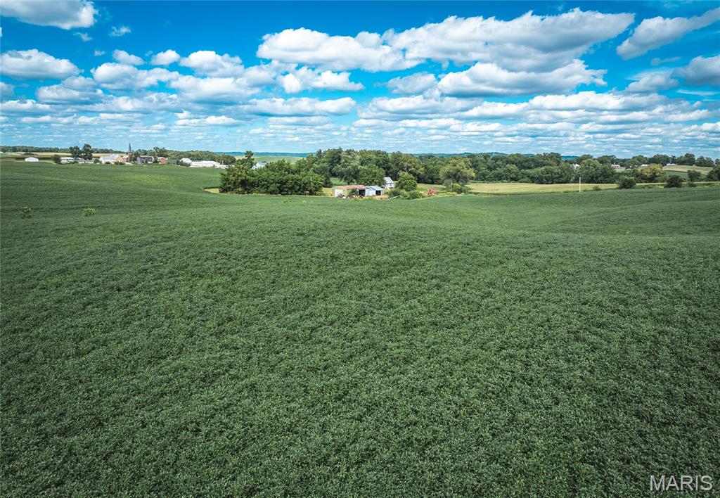 1619 Krause Road Golden Eagle, IL 62036 - Photo 15 of 29