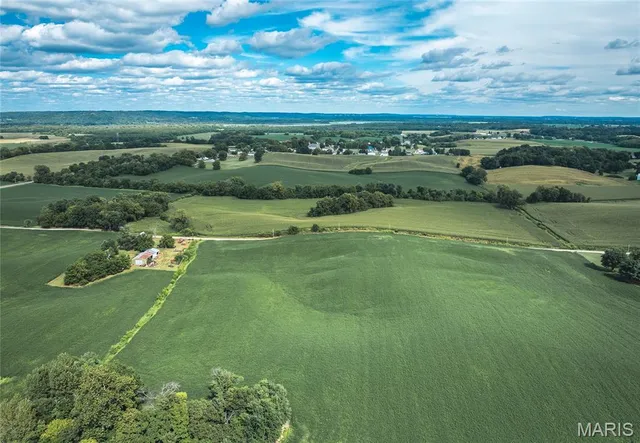 $740,000 | 1619 Krause Road, Golden Eagle, IL 62036