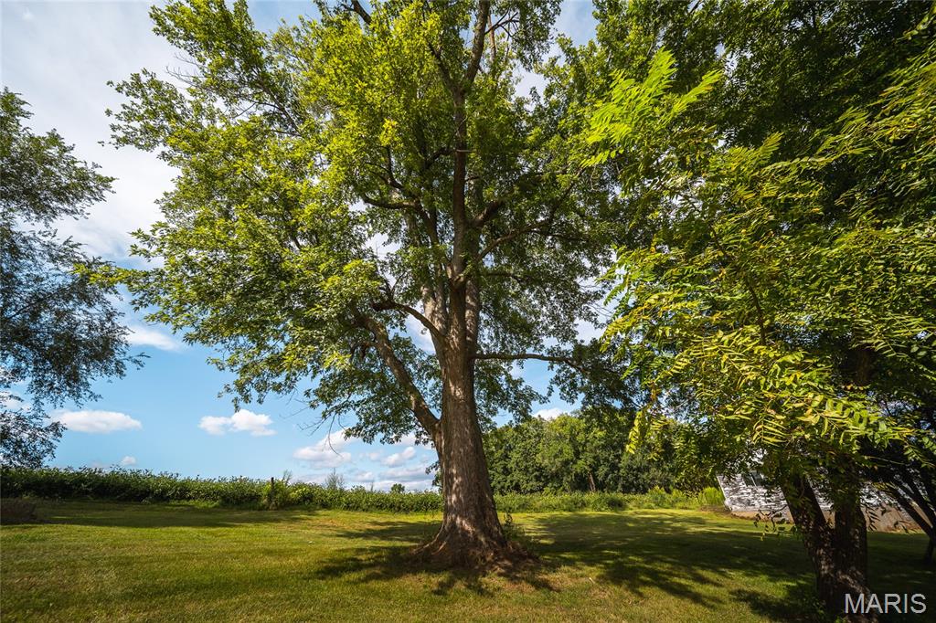 1619 Krause Road Golden Eagle, IL 62036 - Photo 21 of 29