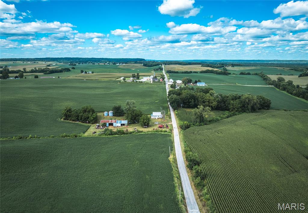 1619 Krause Road Golden Eagle, IL 62036 - Photo 3 of 29