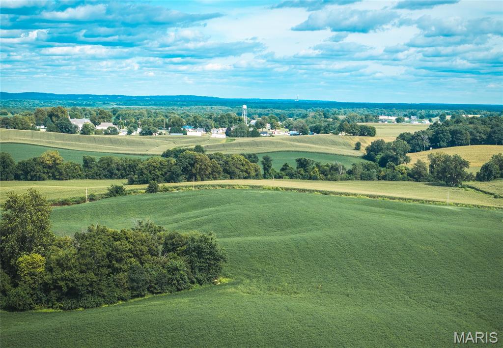 1619 Krause Road Golden Eagle, IL 62036 - Photo 5 of 29