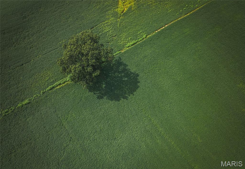 1619 Krause Road Golden Eagle, IL 62036 - Photo 8 of 29