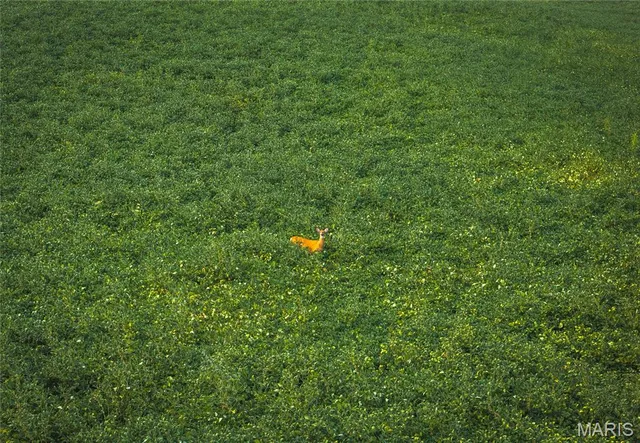 $740,000 | 1619 Krause Road, Golden Eagle, IL 62036