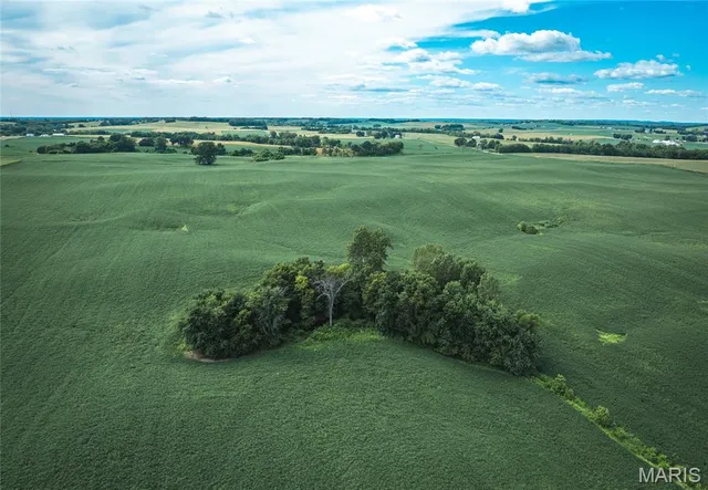 $740,000 | 1619 Krause Road, Golden Eagle, IL 62036