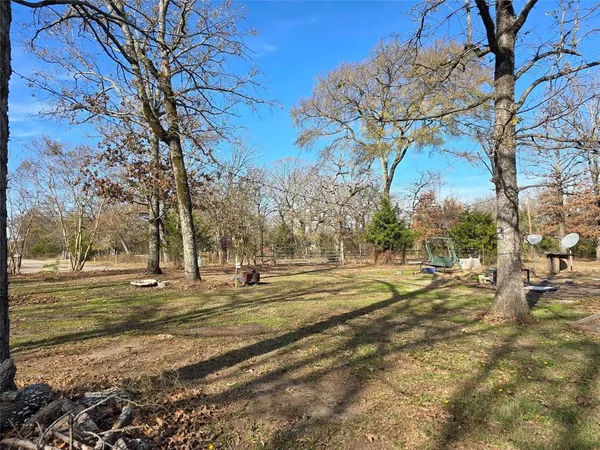 a view of a yard with trees