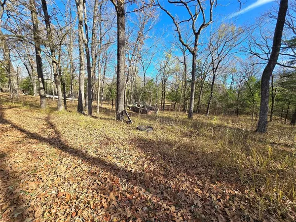 a view of outdoor space with trees