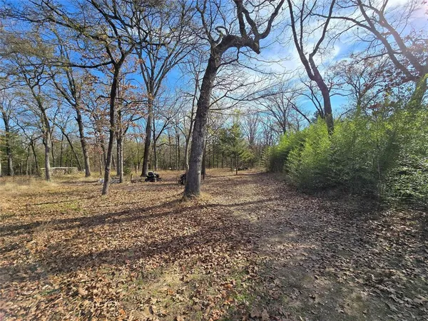 a view of outdoor space with trees