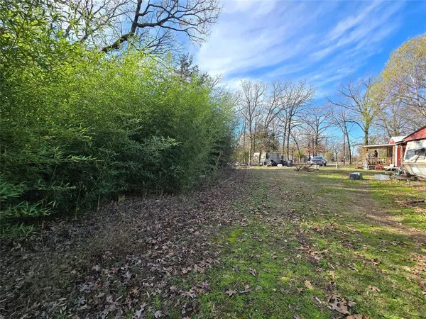 a view of yard with green space
