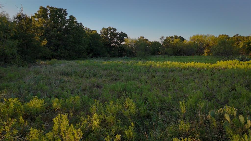 Tbd Bloodworth Road Bowie, TX 76230 - Photo 16 of 25