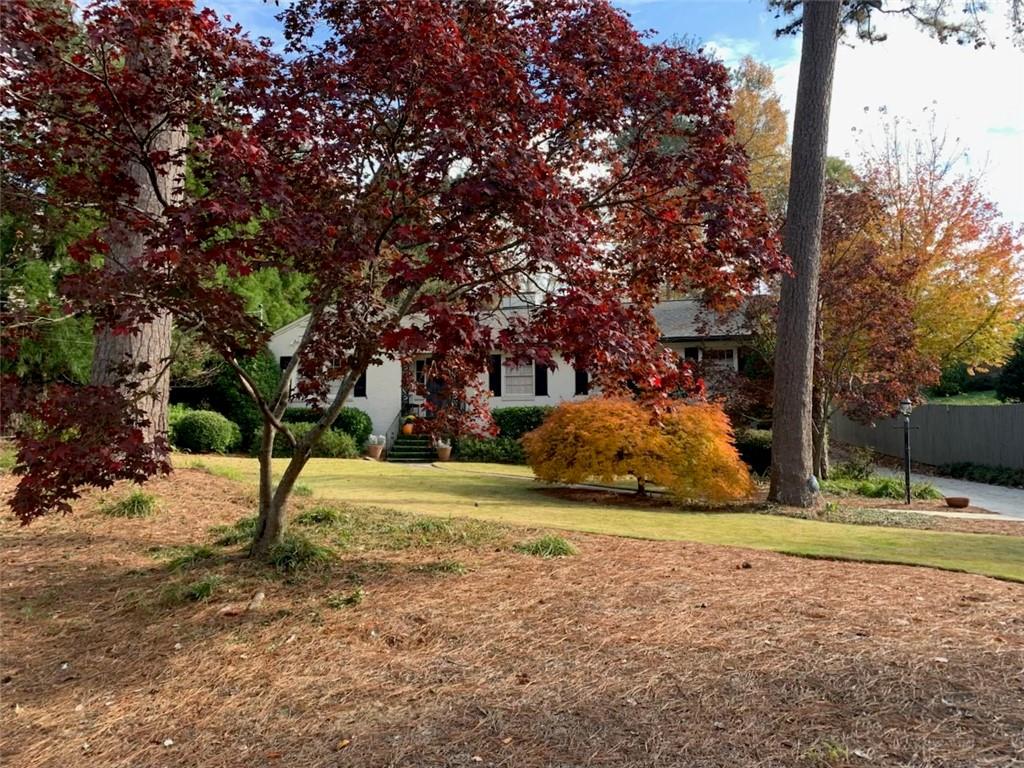 3819 North Stratford Road Northeast Atlanta, GA 30342 - Photo 43 of 48 a view of a yard with of trees