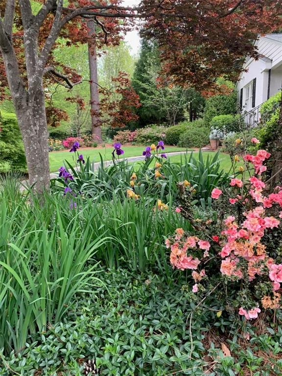 3819 North Stratford Road Northeast Atlanta, GA 30342 - Photo 44 of 48 a view of a flower in a garden