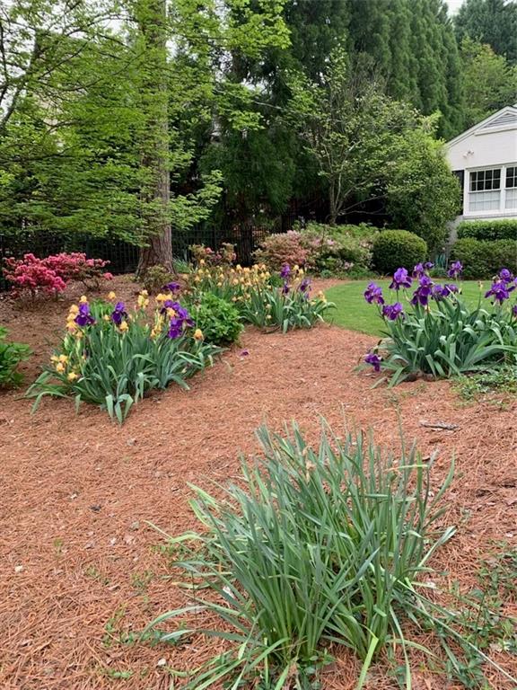 3819 North Stratford Road Northeast Atlanta, GA 30342 - Photo 45 of 48 a view of a potted flower in a yard