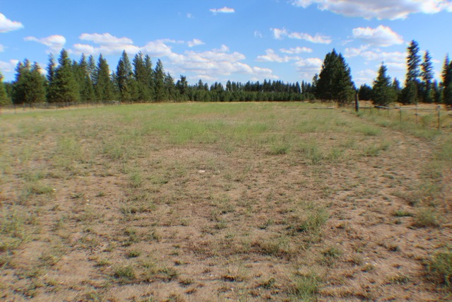 3208 East Denison-Chattaroy Road Chattaroy, WA 99003 - Photo 10 of 20 Gallery Image 10