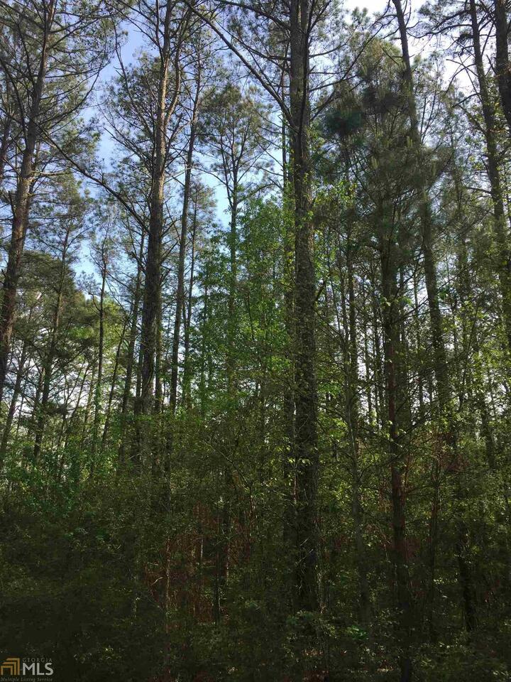 0 Quig Youngs Road, Unit 9 Moreland, GA 30259 - Photo 1 of 1