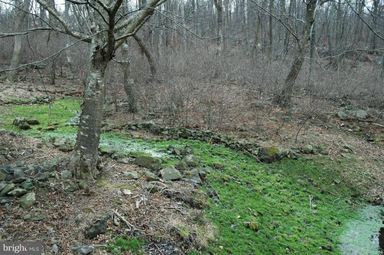 459 Forest Ridge Lane Bluemont, VA 20135 - Photo 13 of 30 View