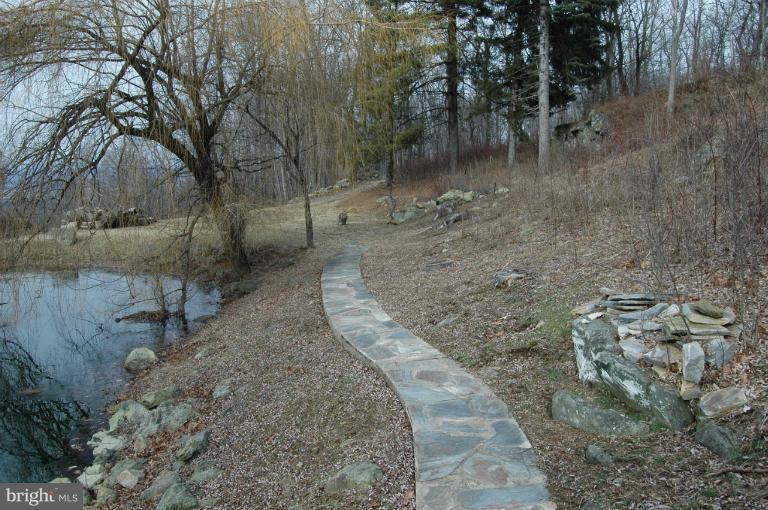 459 Forest Ridge Lane Bluemont, VA 20135 - Photo 15 of 30 View