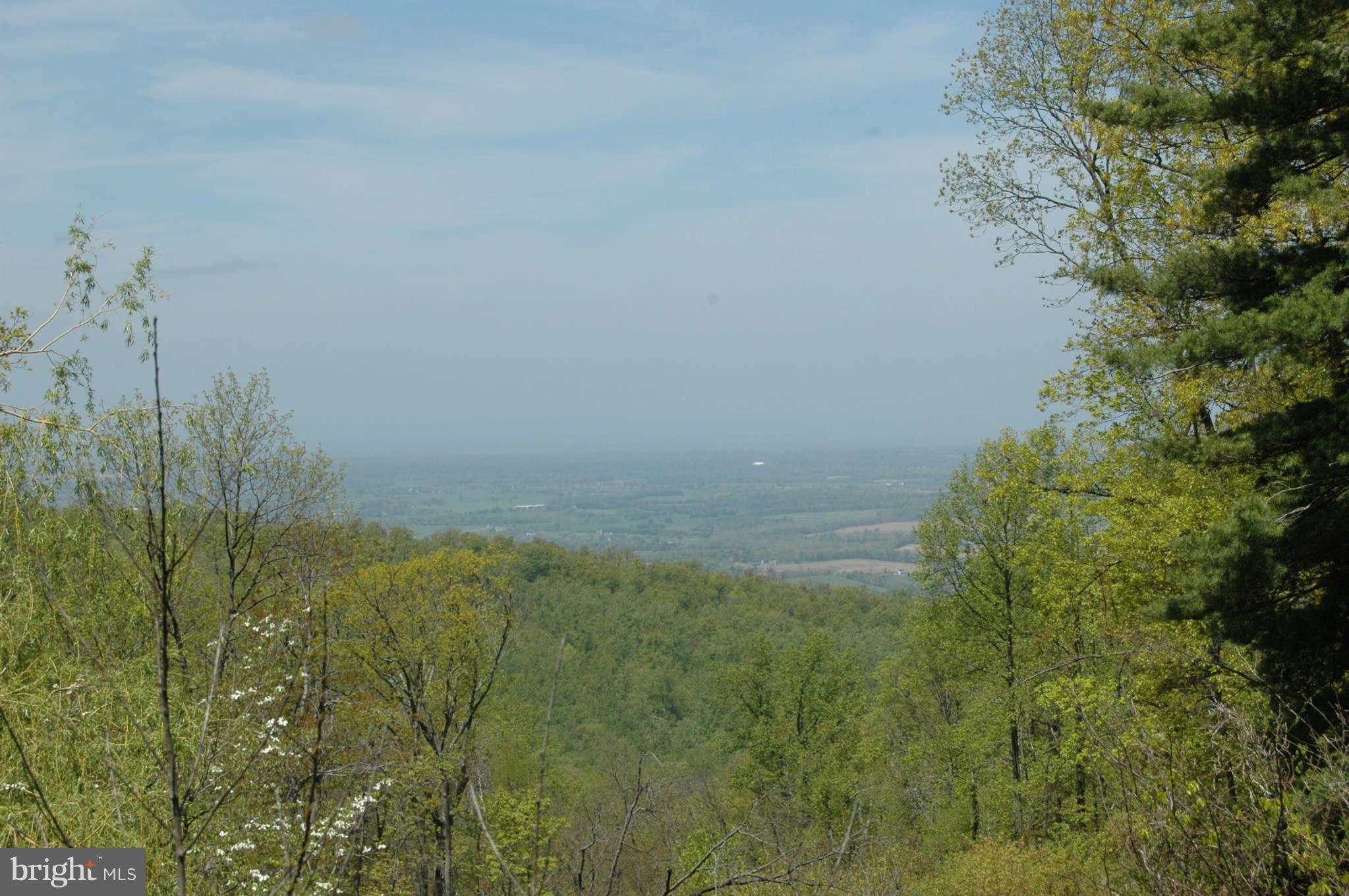 459 Forest Ridge Lane Bluemont, VA 20135 - Photo 17 of 30 View