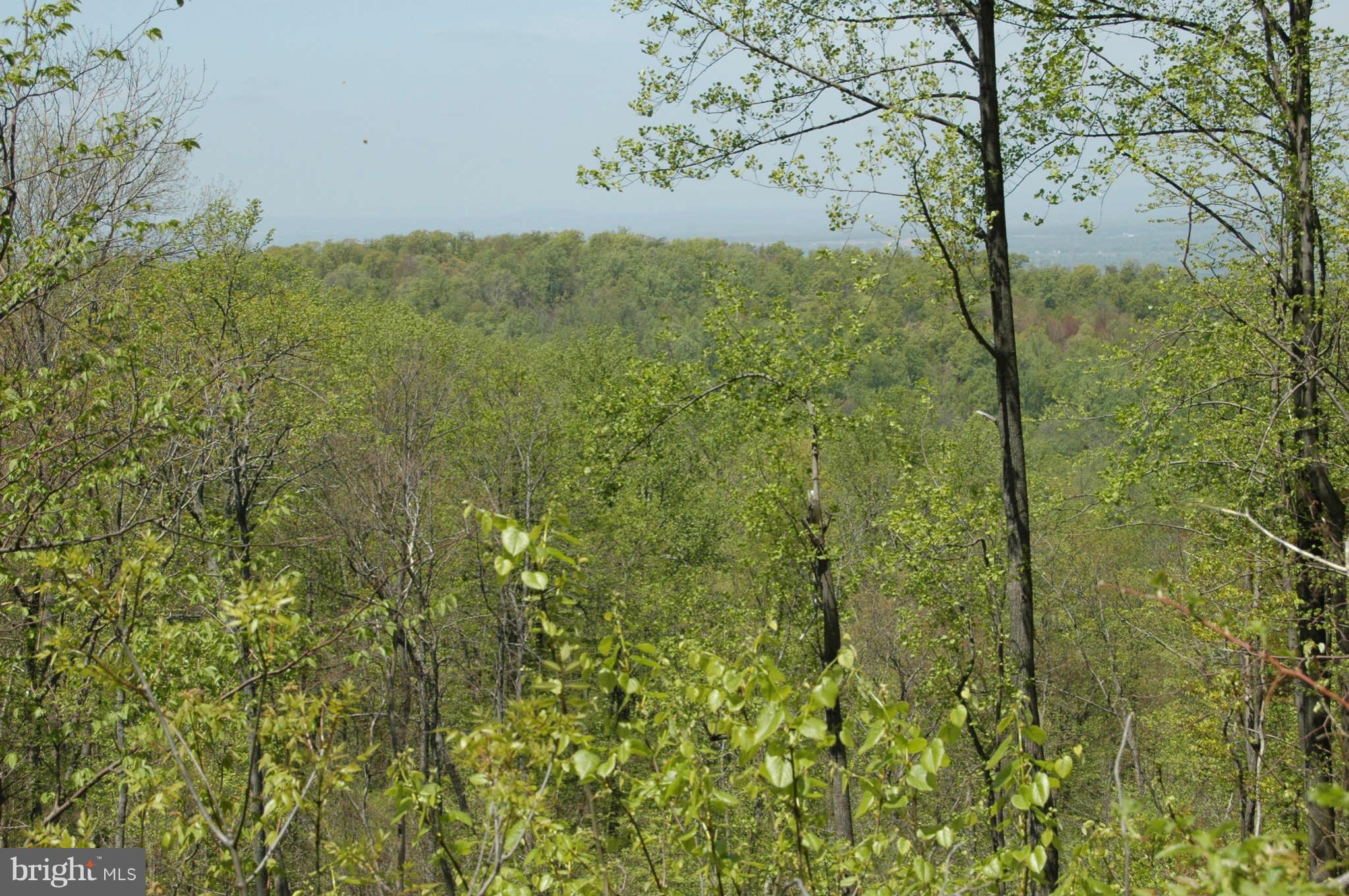 459 Forest Ridge Lane Bluemont, VA 20135 - Photo 18 of 30 View