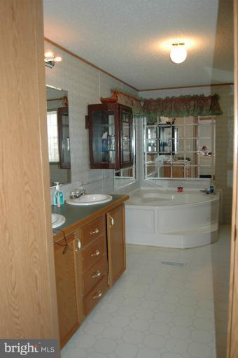 459 Forest Ridge Lane Bluemont, VA 20135 - Photo 25 of 30 Bath (Master)