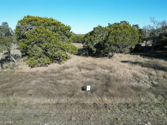 a view of a dry yard with trees in the background