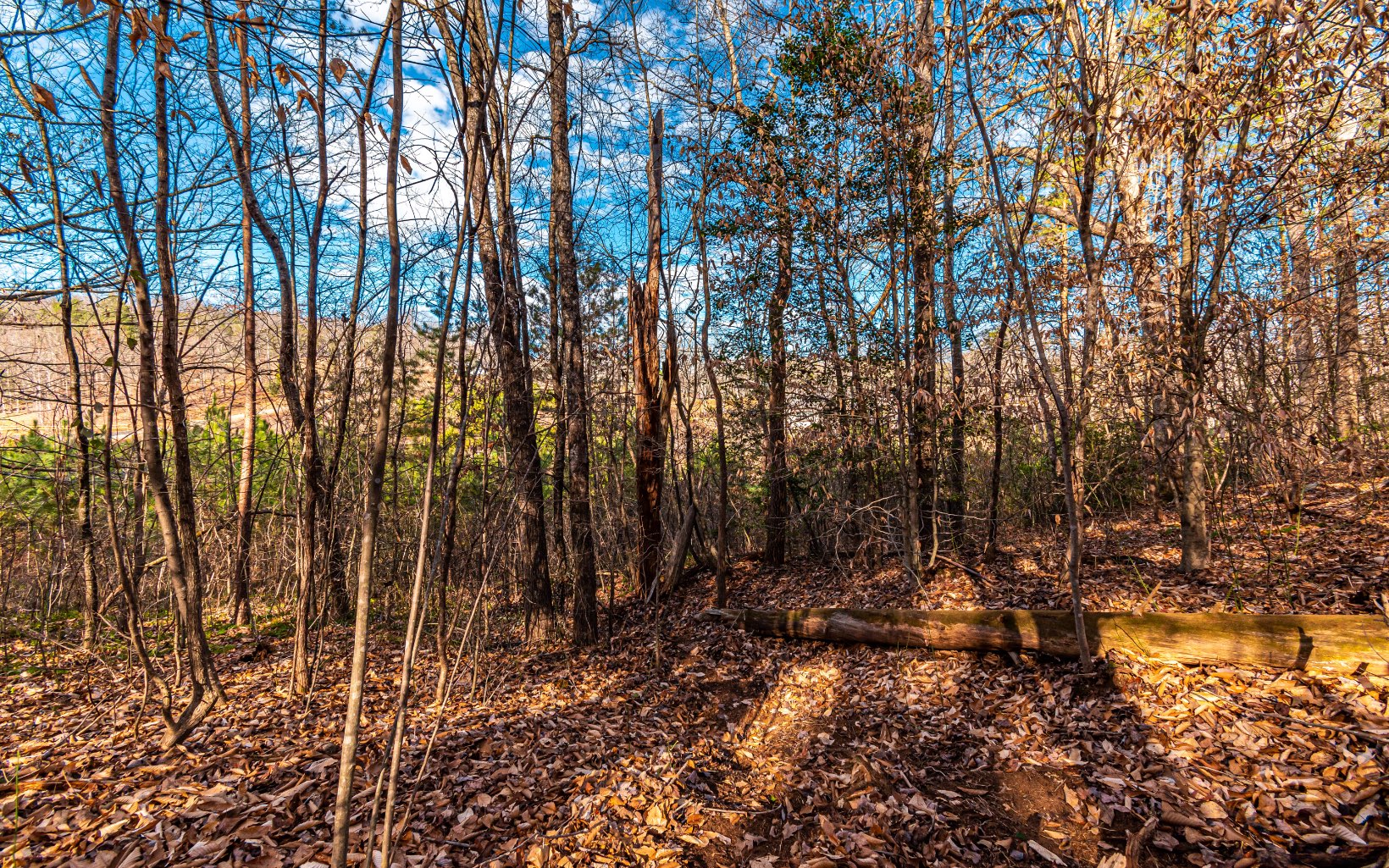 1.69 A Amber Ridge Road Blue Ridge, GA 30513 - Photo 21 of 59 Additional View